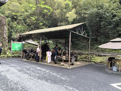 -夏霖九天银瀑风景区