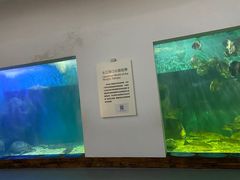 -上海长江河口科技馆