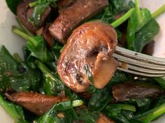 -植物园哈利亚餐厅