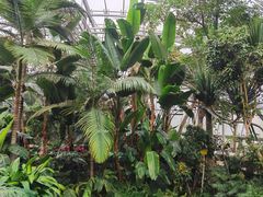 -北京植物园-展览温室