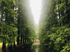 -金岛生态园烧烤露营地