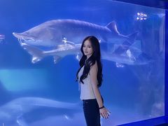 -重庆欢乐海底世界
