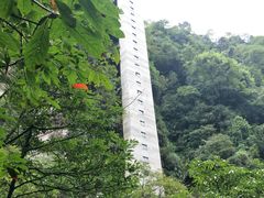 景点-碧峰峡风景区
