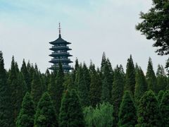 -宜兴龙背山森林公园