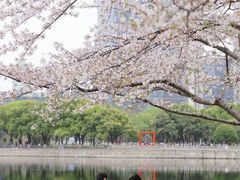-西北湖绿化广场