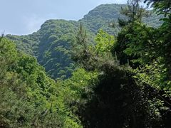 -少华山国家森林公园