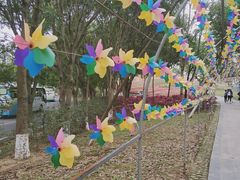 -松山湖梦幻百花洲