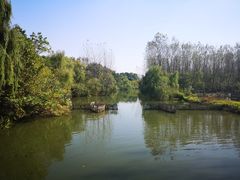 -溱湖国家湿地公园