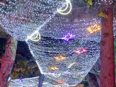 -横店影视城梦幻谷园区