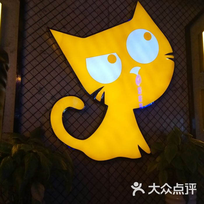 虎猫电竞网咖