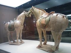 WP_003334-西安大唐西市博物馆