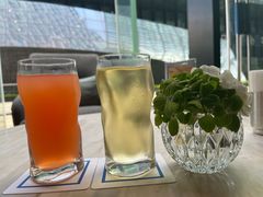 -苏州希尔顿酒店·园大堂吧