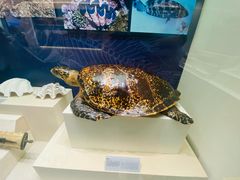 -上海中国航海博物馆