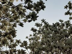 -睦南公园