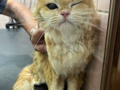 -FAELING PETS美天灵宠物(富力广场店)