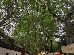 -邈墨茶馆(大兜路1号店)
