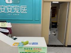 -安安宠医宠物医院·异宠·犬猫内科(岳阳分院)