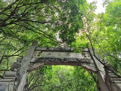 -抚仙湖禄充风景区