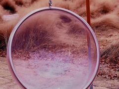 -鹅湖玫瑰文化园