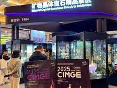 -天津梅江会展中心