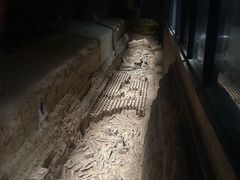 -汉景帝阳陵博物院