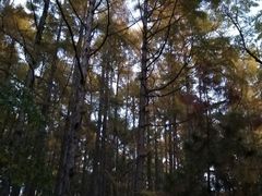 -长春市南湖公园