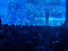 -波塞冬海底世界