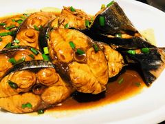 家常闷大鲅鱼-福来齐·鲁菜海鲜·渔家菜(朝阳街分店)