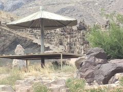 -新疆天山野生动物园