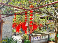 -寂照庵