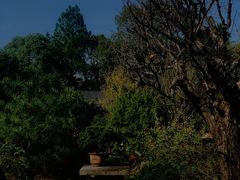 -万景茶庄·台州菜