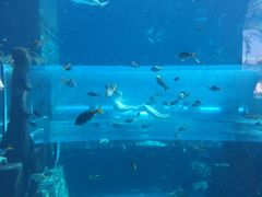 -亚特兰蒂斯水世界冒险乐园