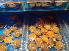 -五谷芳乳鸽王（大梅沙总店C区）(网红打卡店)