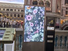 -澳门威尼斯人综合度假区
