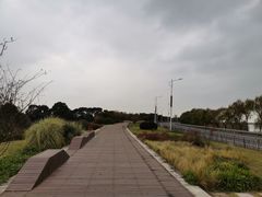 -西京湾花海