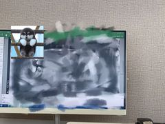 -启辰口腔(南坪店)