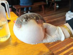 -永安鱼庄·镇江菜(丁卯店)