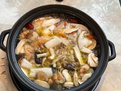 -蘑统田下·野生菌火锅