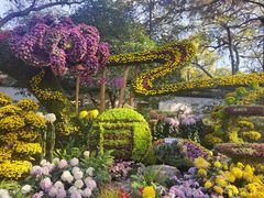 -杭州植物园