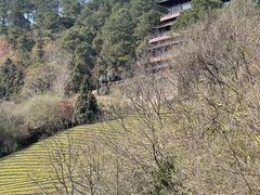 -敬亭山风景名胜区