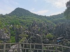 -玉石林风景区