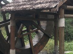 -同里国家湿地公园