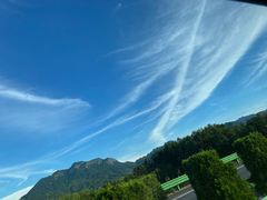 -熊猫不走蛋糕（同城送）(长沙店)