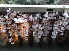 -星巴克臻选(思南公馆店)