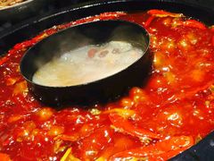 -蜀大侠火锅(建设路第五大道店)