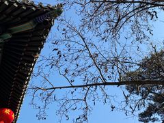 -潭柘寺景区