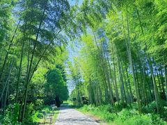 -同里国家湿地公园