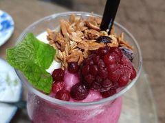 -Fern Forest Cafe