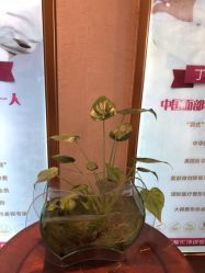 -伊美康医疗美容·抗衰中心