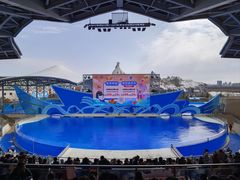 -上海海昌海洋公园